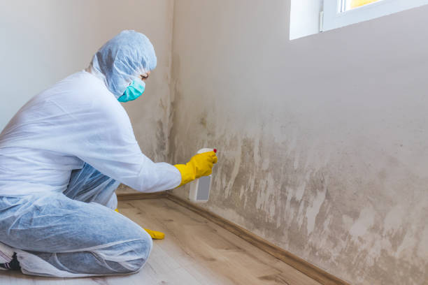 Mold Remediation specialist working in Clinton